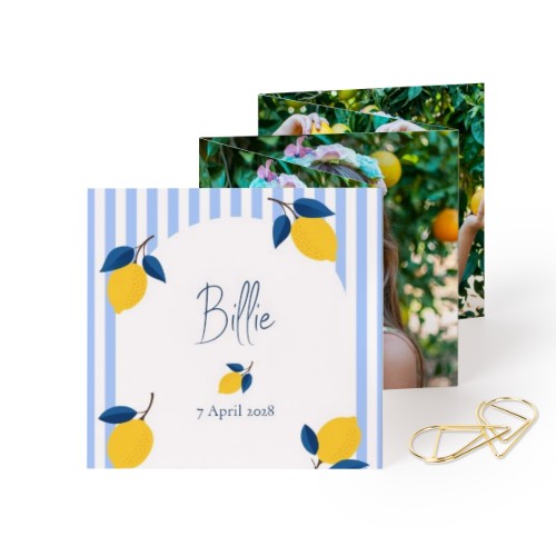 Lemon Stripes Party Lemon Stripes Party