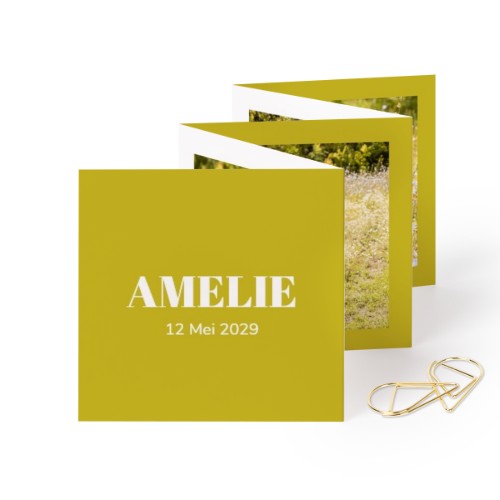 Portfoliokaart Vierkant Gouden Paperclip (set van 12) (8 x 8 cm)