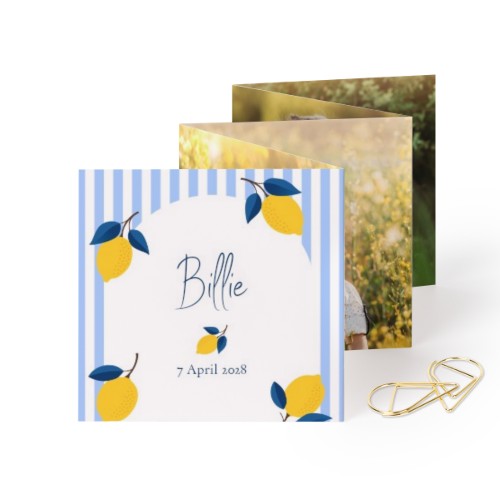 Fold out photo card Square Gold paperclip - set of 12 (8 x 8 cm)