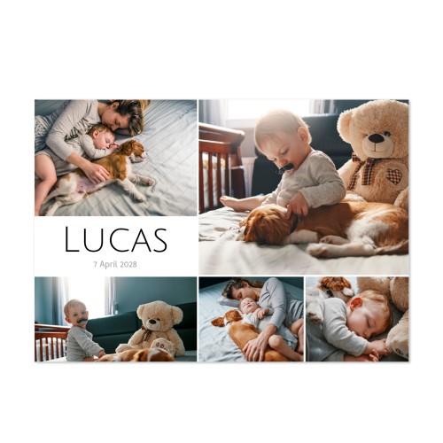 Faire-part 1 volet Paysage 14,3 x 10 cm