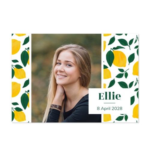 Zesty Lemon Pattern Zesty Lemon Pattern