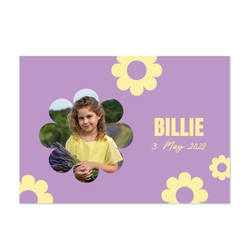 Daisy Shape Daisy Shape