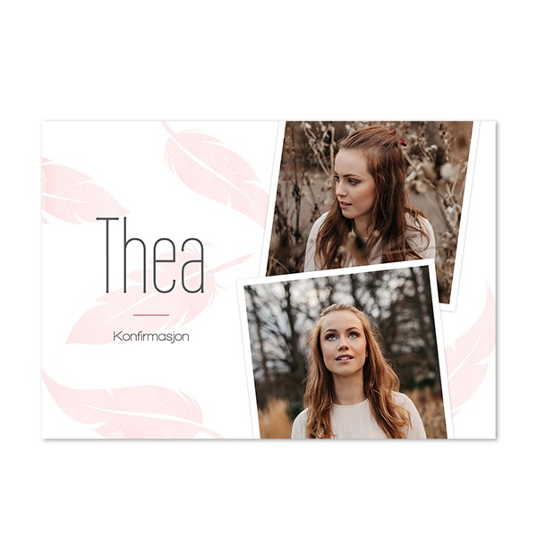 Soft Feathers Soft Feathers