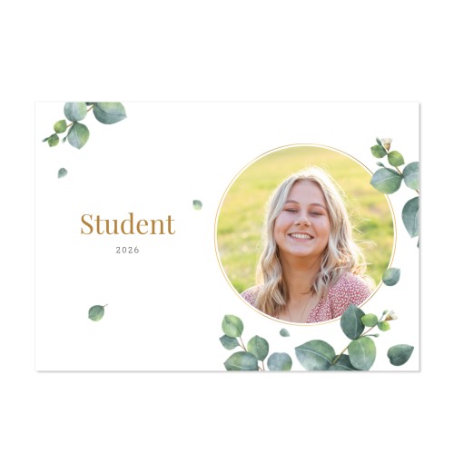 student eucalyptus leaves