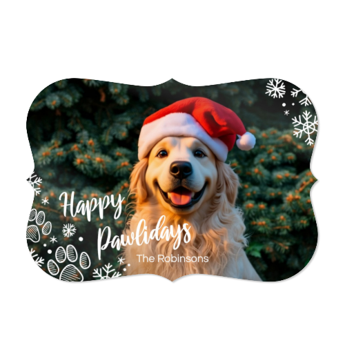 singlecardh_snowypawsfilter3danimation