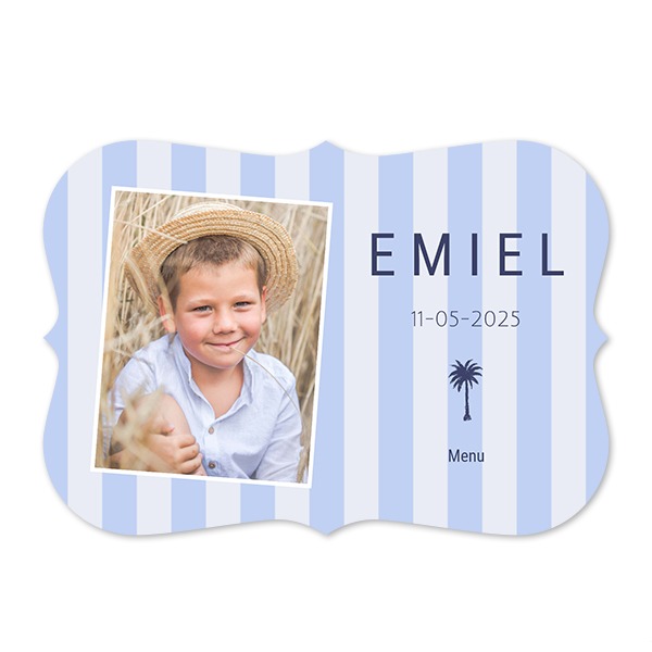 Palmtree Stripes Pattern Palmtree Stripes Pattern