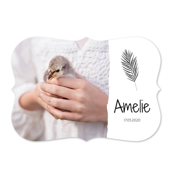 Feuille simple Feuille simple