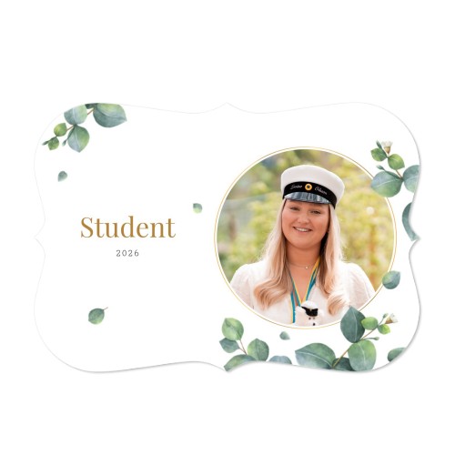 student eucalyptus leaves student eucalyptus leaves