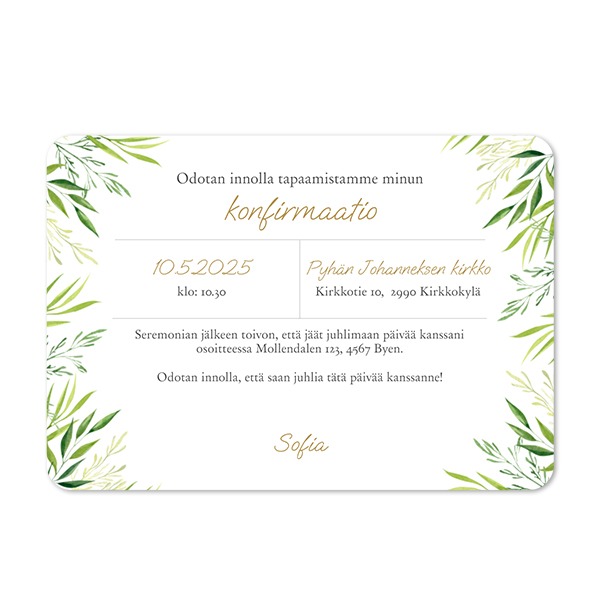 Klassiset kuvakortit pyöristetyillä kulmilla 14,3 x 10 cm