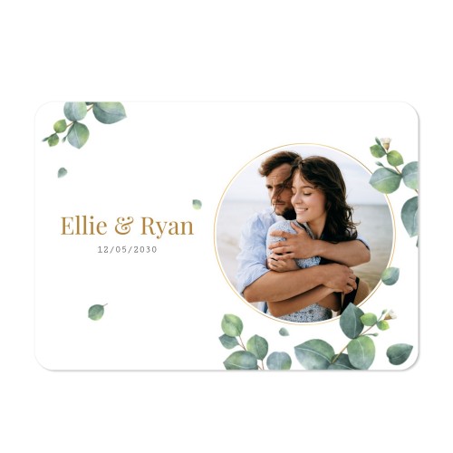 singlecardh_eucalyptusleaves