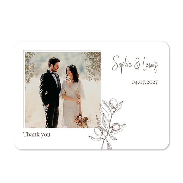 Natural Color Plants