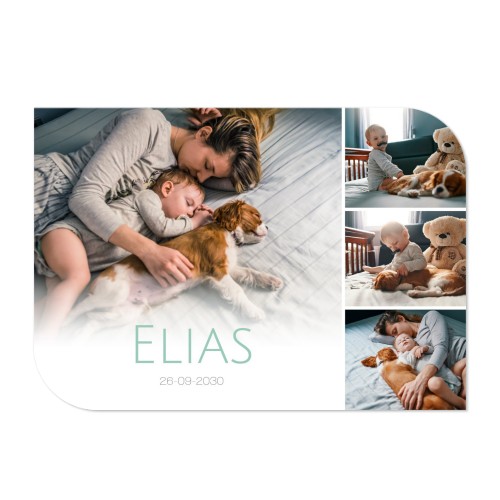 Fotokaart vleugel liggend 14,3 x 10 cm Fotokaart vleugel liggend 14,3 x 10 cm