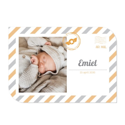 Fotokaart vleugel liggend 14,3 x 10 cm Fotokaart vleugel liggend 14,3 x 10 cm