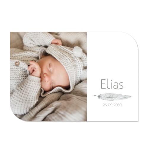 Fotokaart vleugel liggend 14,3 x 10 cm Fotokaart vleugel liggend 14,3 x 10 cm