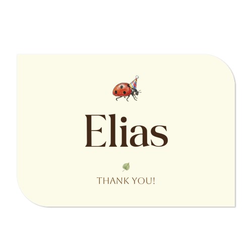 Faire-part 1 volet Bords ronds diagonale paysage 14,3 x 10 cm