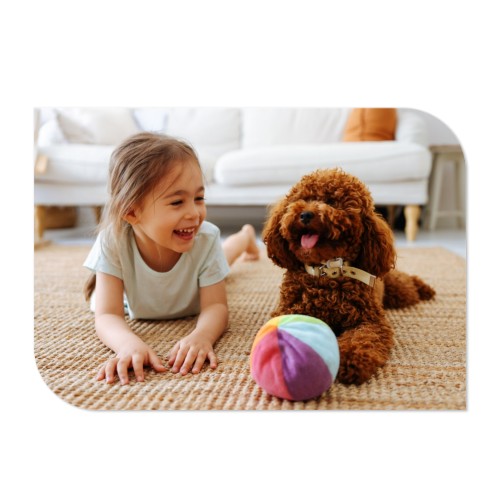 Photo Only Photo Only