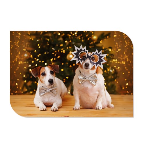 Faire-part 1 volet Bords ronds diagonale paysage 14,3 x 10 cm