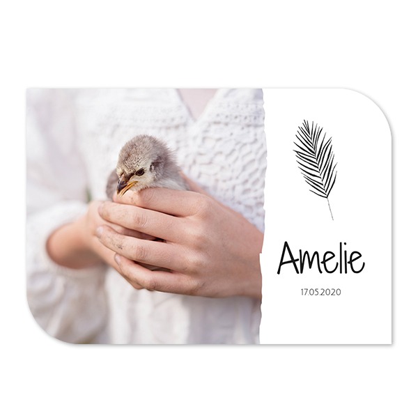 Fotokaart vleugel liggend 14,3 x 10 cm Fotokaart vleugel liggend 14,3 x 10 cm