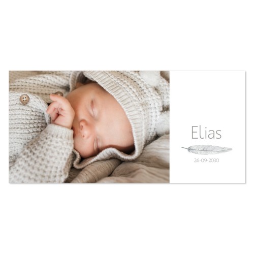 Faire-part 1 volet Pano paysage 19,6 x 9,3 cm