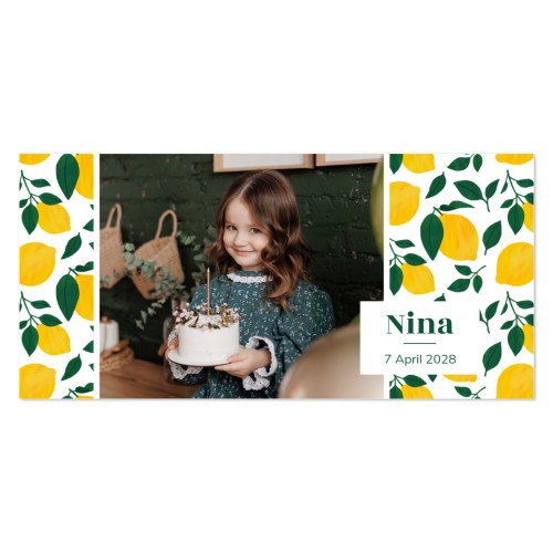 Enkle Fotokort Pano Landskab 19,6 x 9,3 cm Enkle Fotokort Pano Landskab 19,6 x 9,3 cm