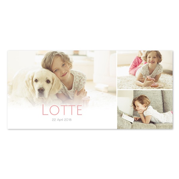 Enkla Fotokort Pano Liggande 19,6 x 9,3 cm Enkla Fotokort Pano Liggande 19,6 x 9,3 cm