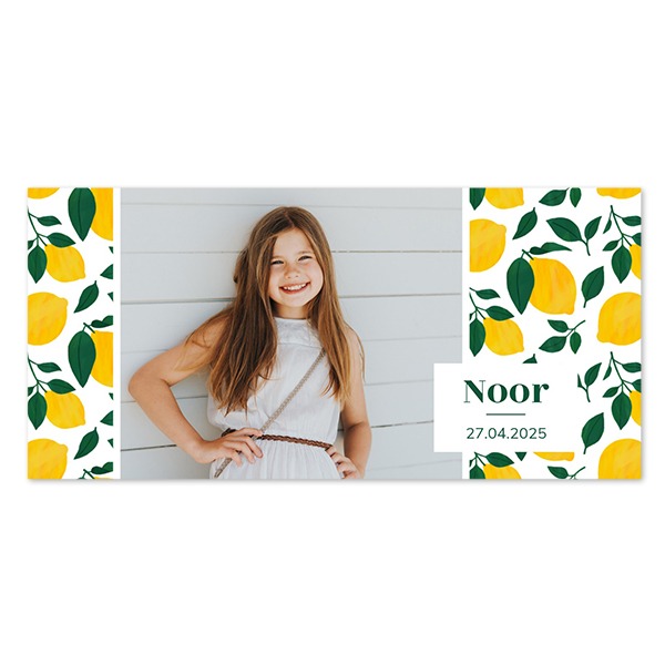 Enkle Fotokort Pano Landskab 19,6 x 9,3 cm