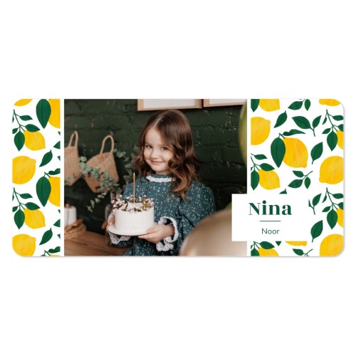 Zesty Lemon Pattern Zesty Lemon Pattern