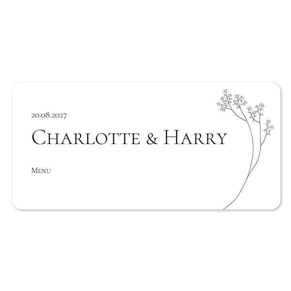 Fotokaart pano liggend met ronde hoeken 19,6 x 9,3 cm