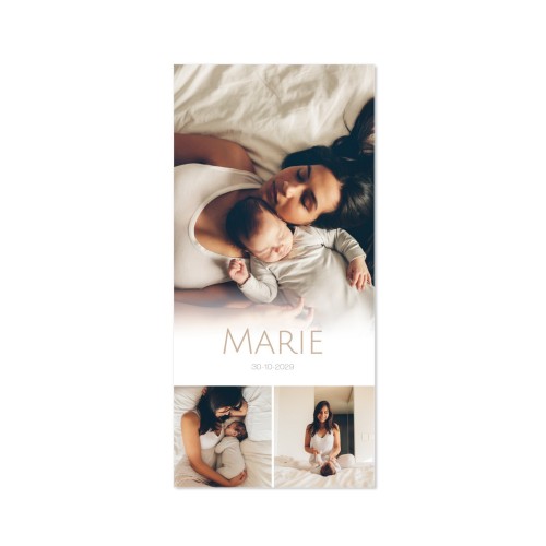 Single Card Panoramic Portrait 9,3 x 19,6 cm Single Card Panoramic Portrait 9,3 x 19,6 cm