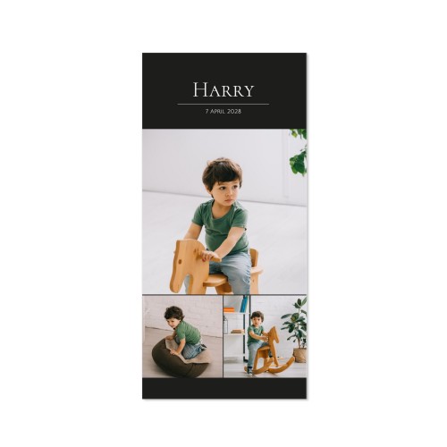 Fotokaart Panorama Staand 9,3 x 19,6 cm