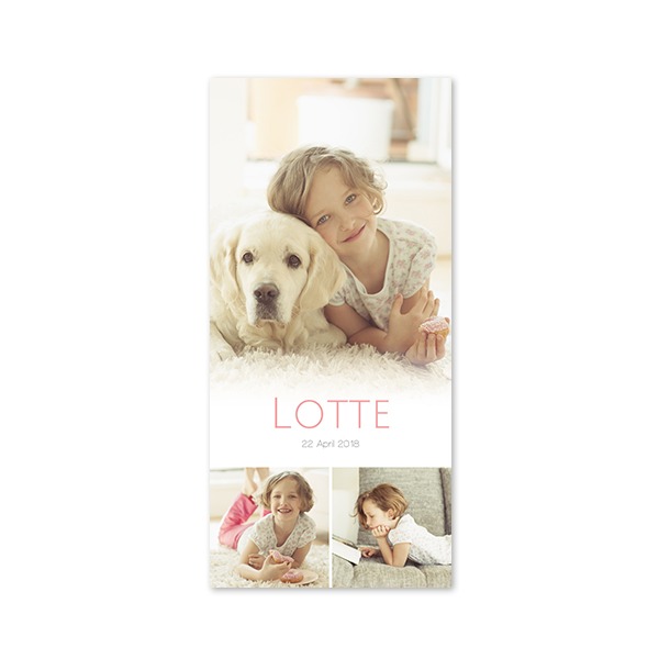 Enkle Fotokort Pano Stående 9,3 x 19,6 cm Enkle Fotokort Pano Stående 9,3 x 19,6 cm