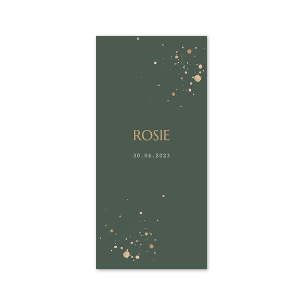 Faire-part 1 volet Pano portrait 9,3 x 19,6 cm Faire-part 1 volet Pano portrait 9,3 x 19,6 cm