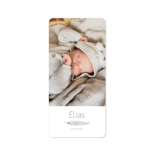 Faire-part 1 volet Pano portrait coins arrondis 9,3 x 19,6 cm Faire-part 1 volet Pano portrait coins arrondis 9,3 x 19,6 cm