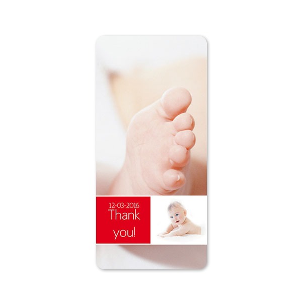 Single Card Panoramic Portrait rounded corners 9,3 x 19,6 cm Single Card Panoramic Portrait rounded corners 9,3 x 19,6 cm