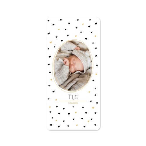 Fotokaart pano staand met ronde hoeken 9,3 x 19,6 cm