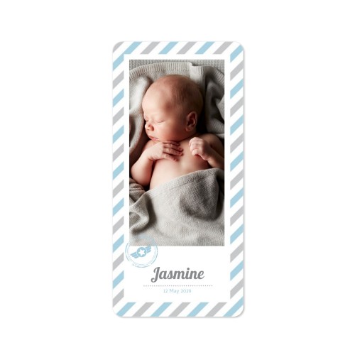Single Card Panoramic Portrait rounded corners 9,3 x 19,6 cm Single Card Panoramic Portrait rounded corners 9,3 x 19,6 cm