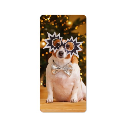 Grusskarte Panorama hochformat mit abgerundeten Ecken 9,3 x 19,6 cm