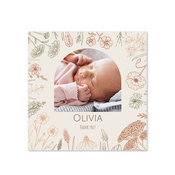 Wildflower Arch Wildflower Arch