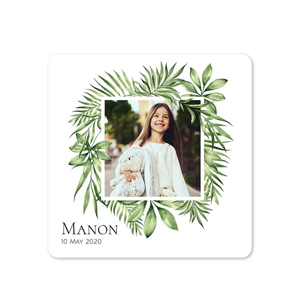 Tropical Plant Frame