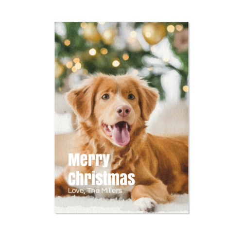 Bold Text Full Photo Bold Text Full Photo