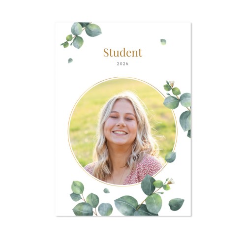 student eucalyptus leaves student eucalyptus leaves