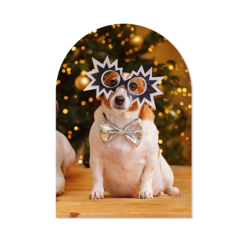 Photo Only Photo Only