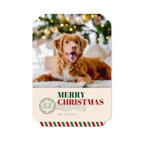 Single Card Double Rounded Vertical 10 x 14,3 cm