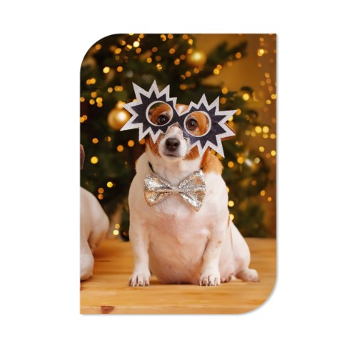 Photo Only Photo Only