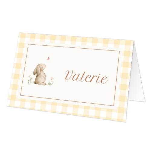 Cute Bunny Vichy