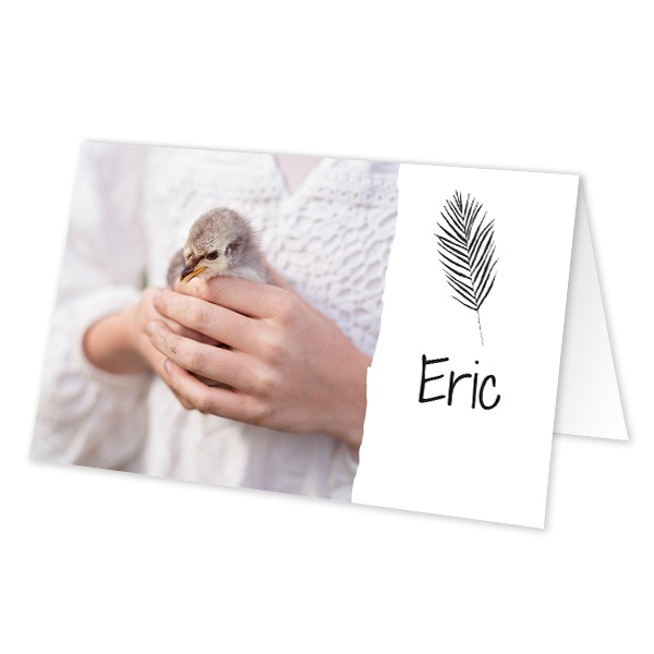 Folded place cards - set of 12