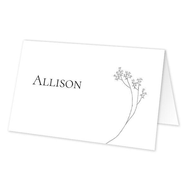 Folded place cards - set of 12 Folded place cards - set of 12