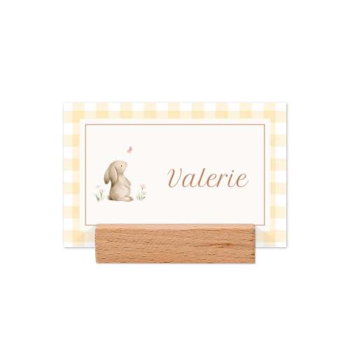 Cute Bunny Vichy