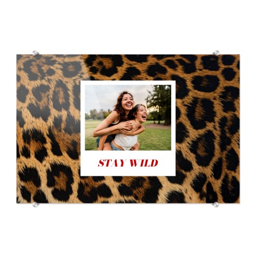 Foto op acrylglas 20 x 30 cm