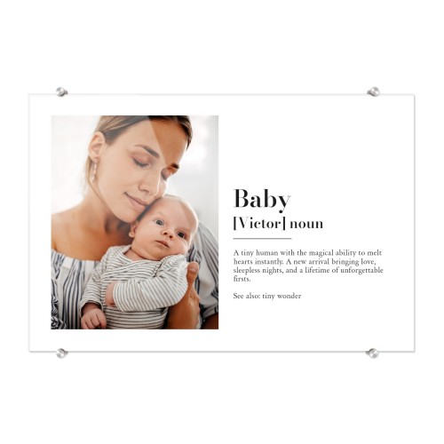 Dictionary Definition